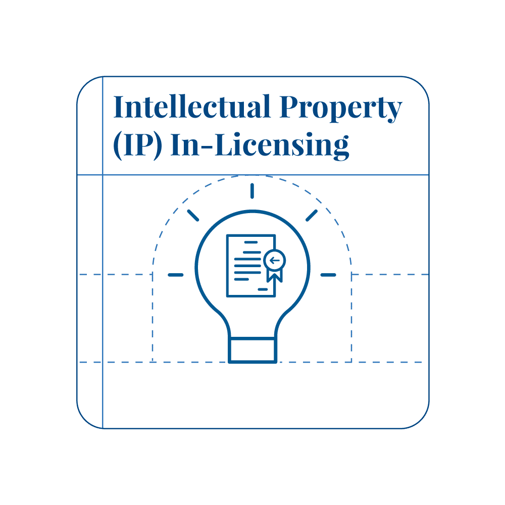 Image of Intellectual Property (IP) In-Licensing