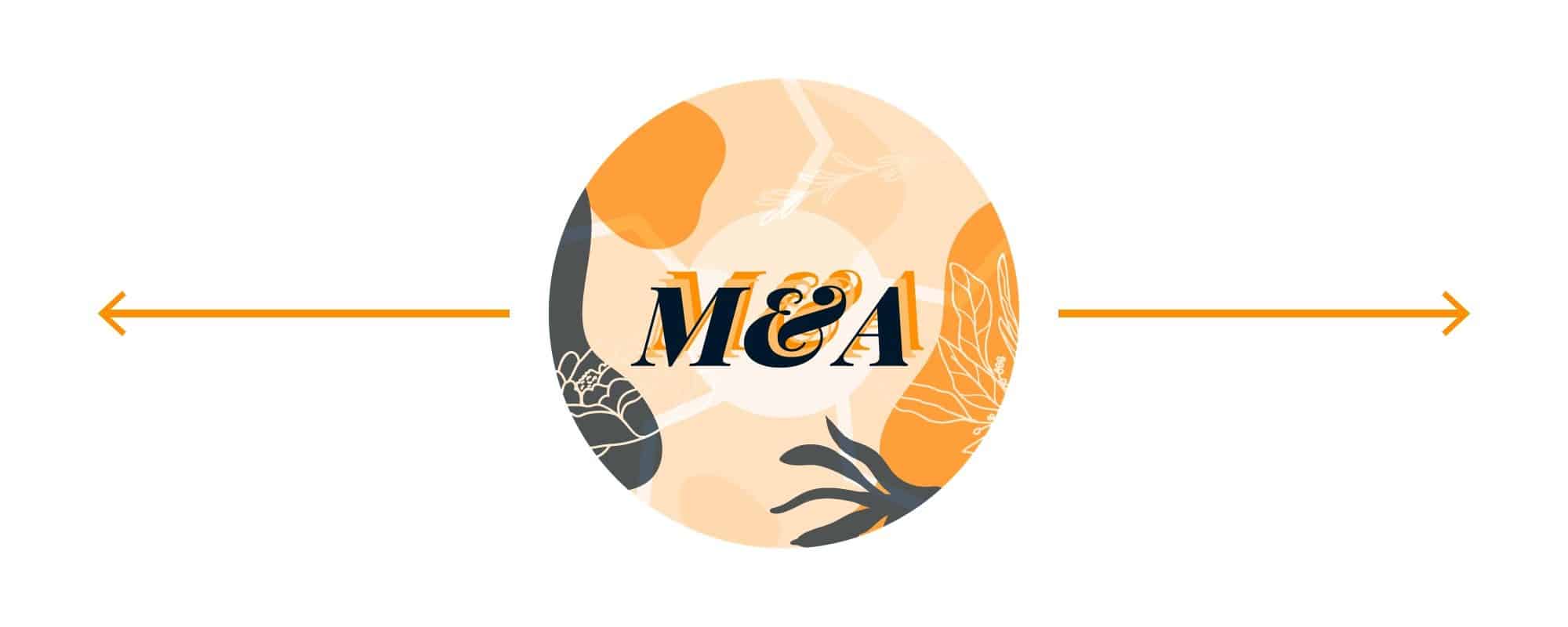 Holistic M&A banner image