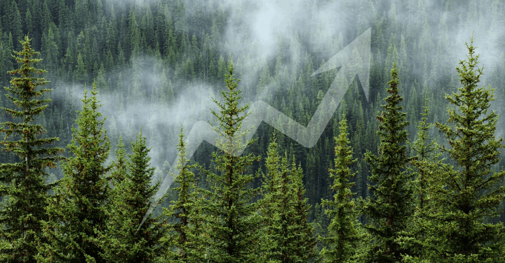 legacy-driven M&A strategy