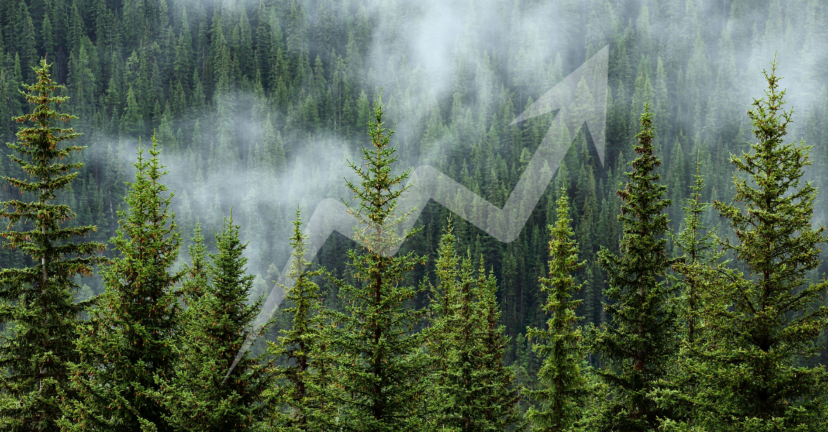 legacy-driven M&A strategy